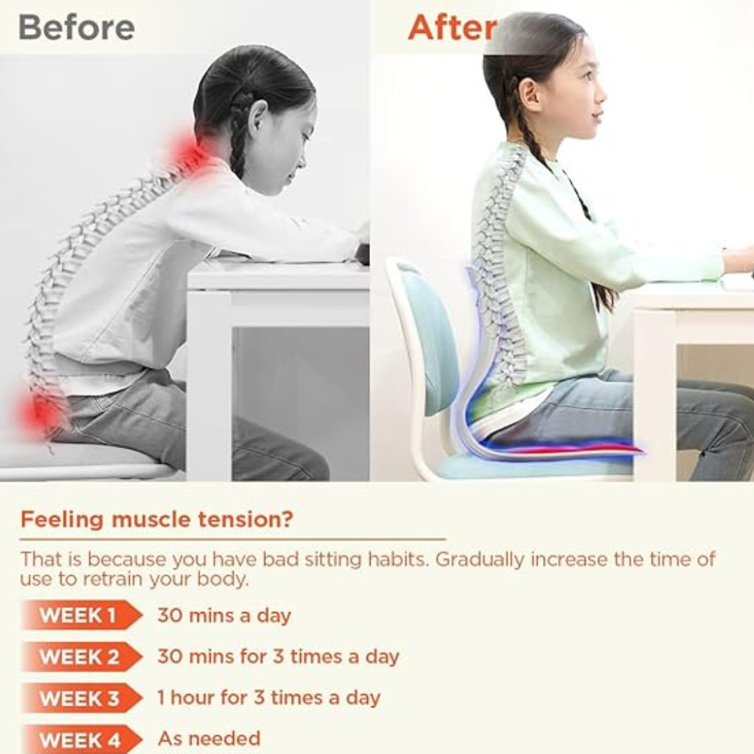 Comfort Posture Correction Chair Seat | Ergonomic Back Support